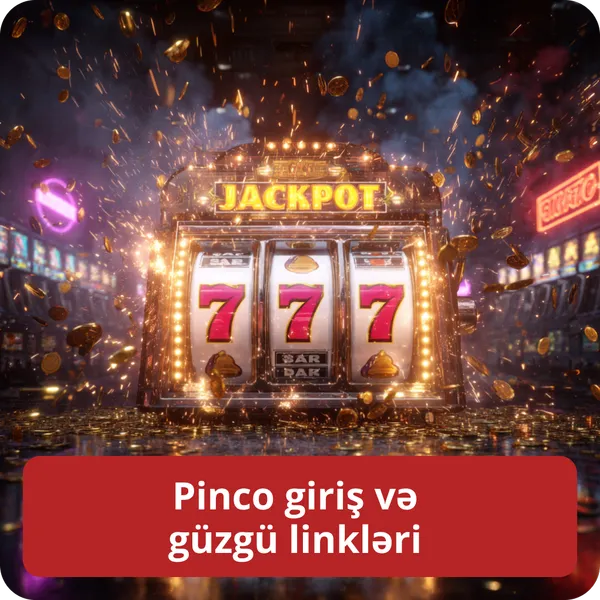 Pinco giriş və güzgü linkləri
