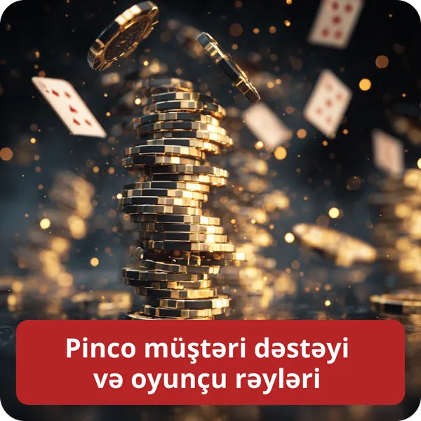Pinco müştəri dəstəyi və oyunçu rəyləri