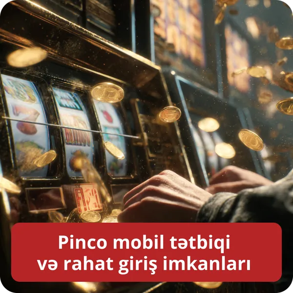 Pinco mobil tətbiqi və rahat giriş imkanları