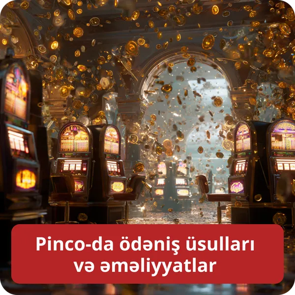 Pinco-da ödəniş üsulları və əməliyyatlar